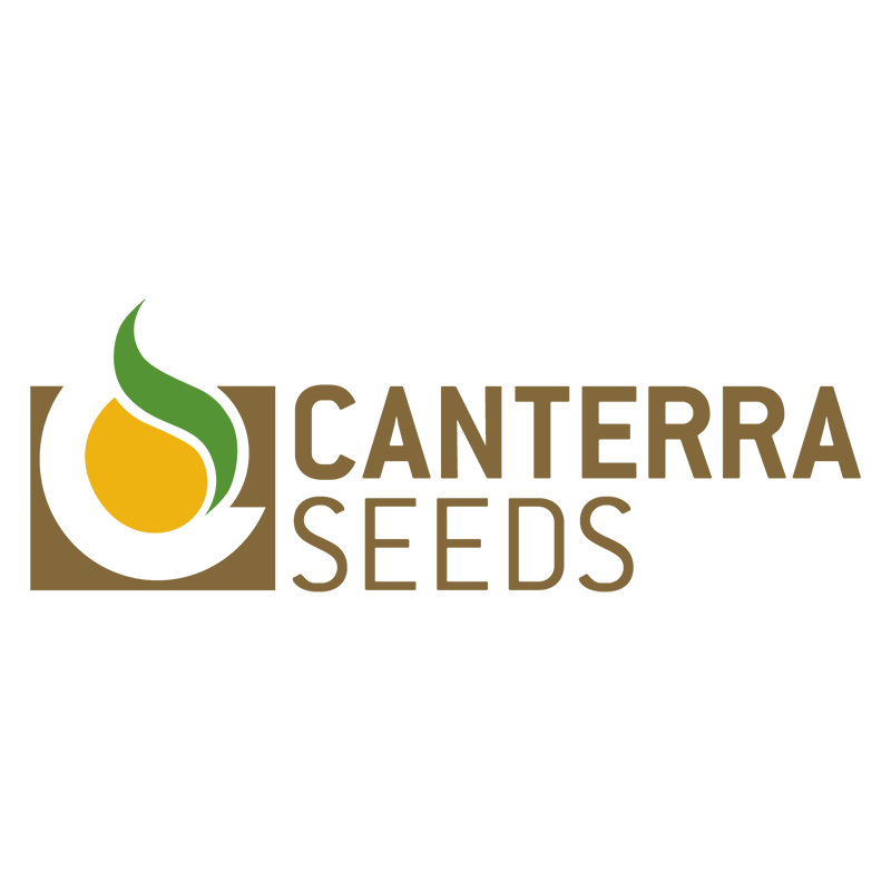 Canterra Seeds